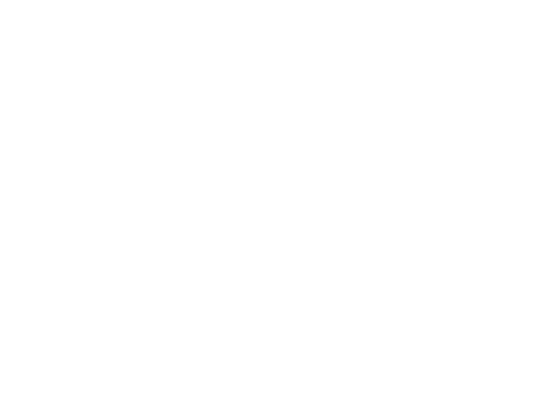 maan samman logo light