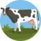 cow 2